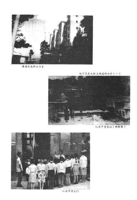 《《元阳县无群志》》.pdf_云南省志预览图5