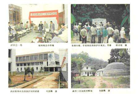 《《西双版纳动物志》》.pdf_云南省志预览图4