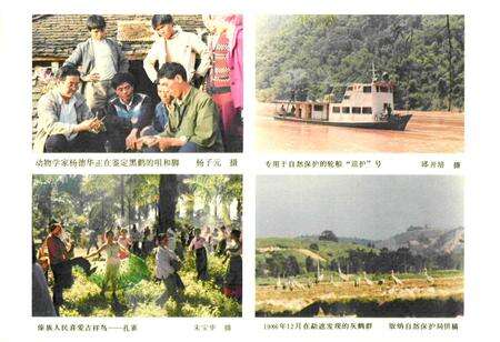 《《西双版纳动物志》》.pdf_云南省志预览图5