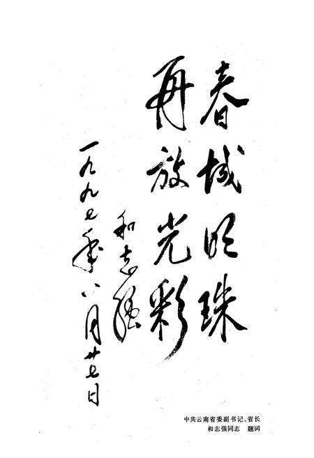 《《昆明发电厂厂志(1957-1997)》》.pdf_云南省志预览图4