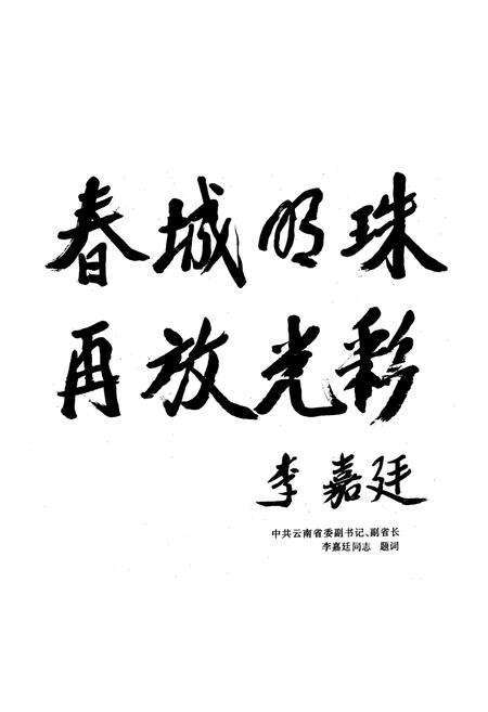 《《昆明发电厂厂志(1957-1997)》》.pdf_云南省志预览图5