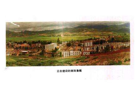 《《禄脿乡志》》.pdf_云南省志预览图4