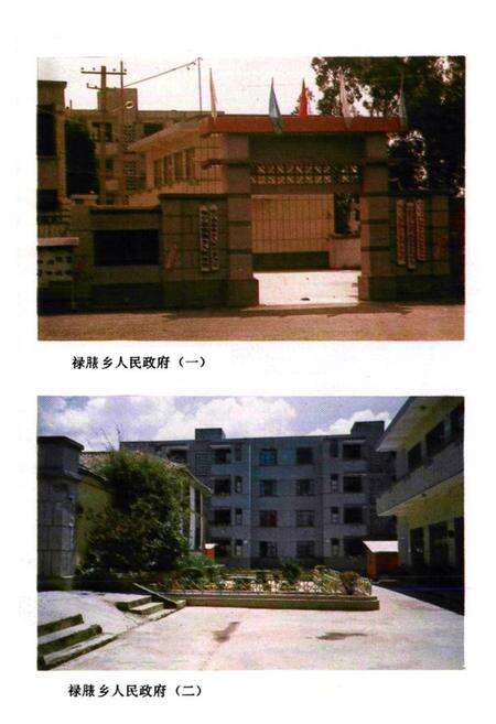 《《禄脿乡志》》.pdf_云南省志预览图5