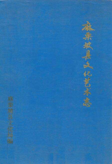 《麻栗坡县文化艺术志(1644-1990)》.pdf_云南省志缩略图