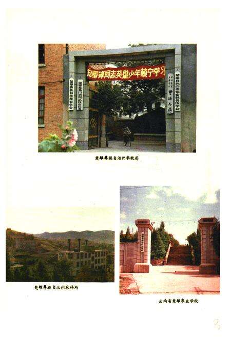 《《楚雄彝族自治州农业志》》.pdf_云南省志预览图3