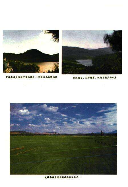 《《楚雄彝族自治州农业志》》.pdf_云南省志预览图4