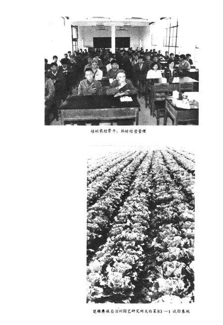 《《楚雄彝族自治州农业志》》.pdf_云南省志预览图5