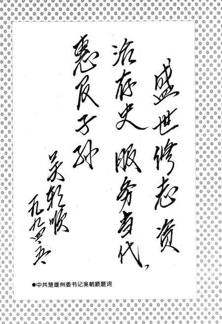 《永仁县党派群团志》.pdf_云南省志预览图3