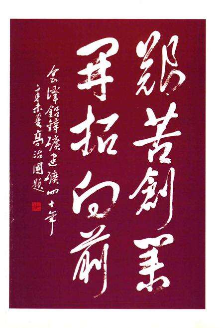 《云南会泽铅锌矿志》.pdf_云南省志预览图2