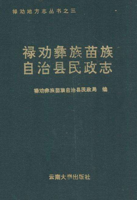 《禄劝彝族苗族自治县民政志》.pdf_云南省志缩略图