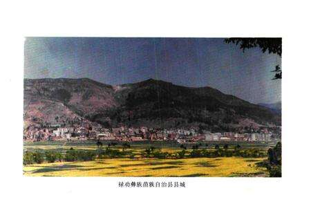 《禄劝彝族苗族自治县民政志》.pdf_云南省志预览图3