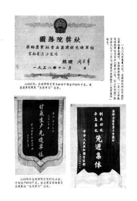 《云南省漠沙亚热带园艺场劳改劳教志(1956-1989)》.pdf_云南省志预览图4