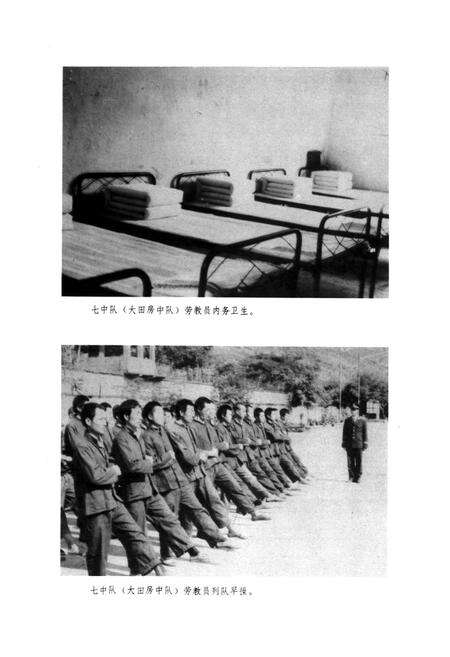 《云南省漠沙亚热带园艺场劳改劳教志(1956-1989)》.pdf_云南省志预览图5