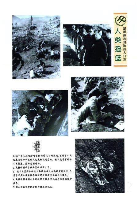 《《楚雄彝族自治州人口志》》.pdf_云南省志预览图4