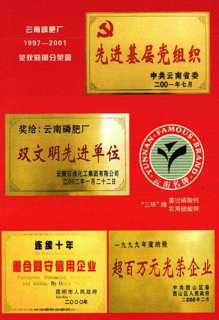 《《云南磷肥厂志(1997-2001)第三卷》》.pdf_云南省志预览图2