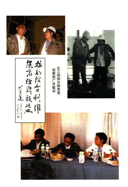 《《云南磷肥厂志(1987-1996)第二卷》》.pdf_云南省志预览图5
