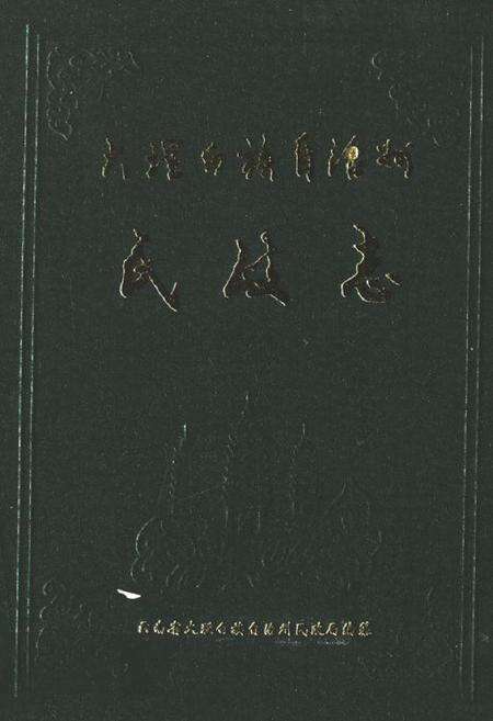 《《大理白族自治县民政志》》.pdf_云南省志缩略图