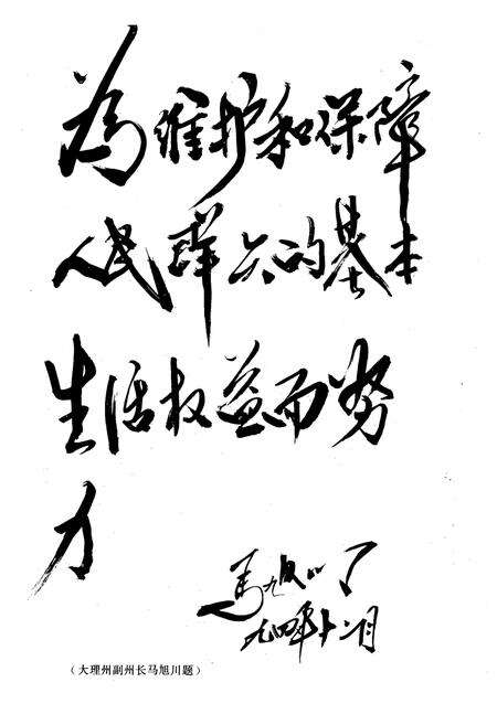 《《大理白族自治县民政志》》.pdf_云南省志预览图1