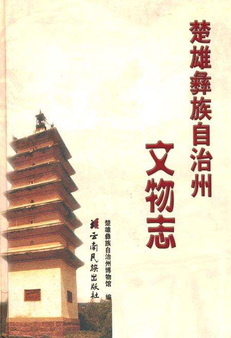 《《楚雄彝族自治州文物志》》.pdf_云南省志缩略图