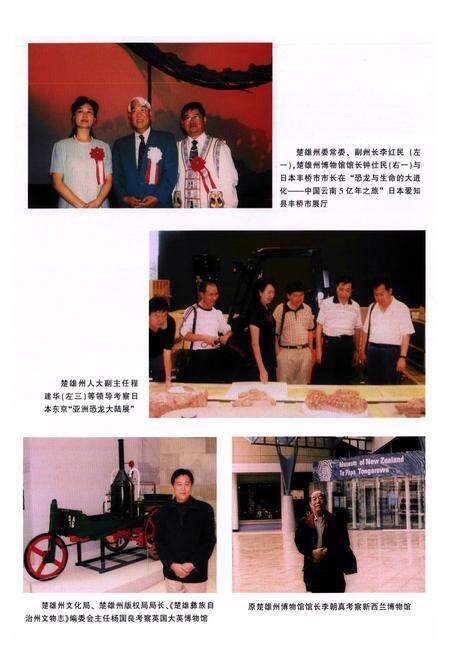 《《楚雄彝族自治州文物志》》.pdf_云南省志预览图3