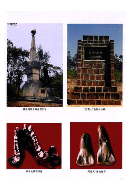 《《楚雄彝族自治州文物志》》.pdf_云南省志预览图5