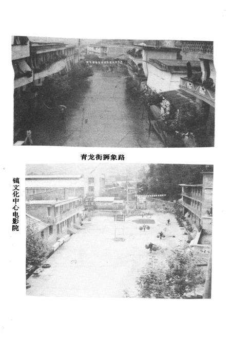 《青龙镇志》.pdf_云南省志预览图4