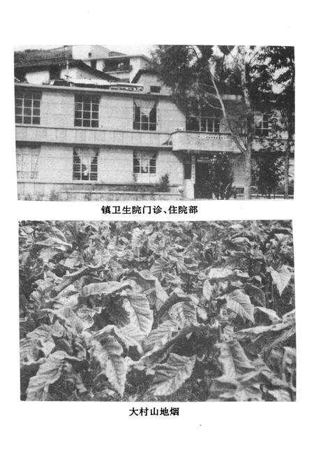 《青龙镇志》.pdf_云南省志预览图5