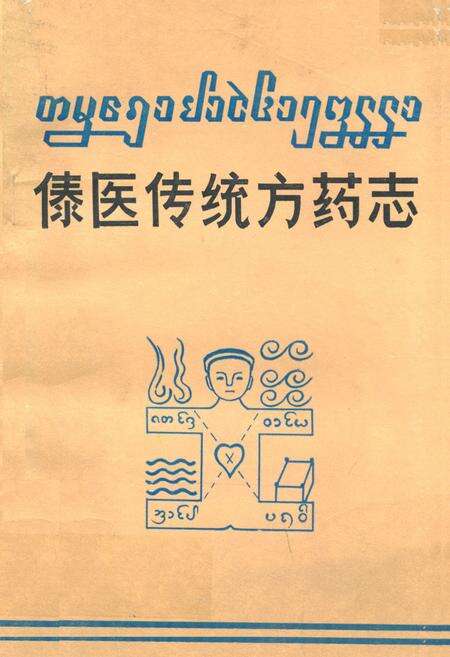 《《傣医传统方药志》》.pdf_云南省志缩略图