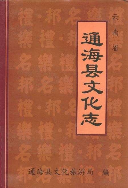 《云南省通海县文化志》.pdf_云南省志缩略图