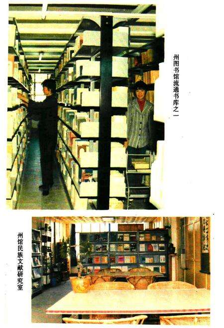 《大理白族自治州图书馆志》.pdf_云南省志预览图5