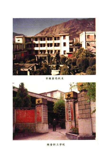 《大理市粮油志》.pdf_云南省志预览图4