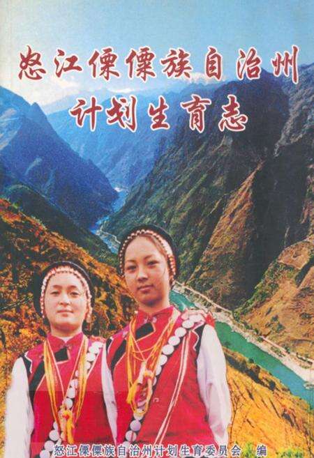 《怒江傈傈族自治州计划生育志》.pdf_云南省志缩略图