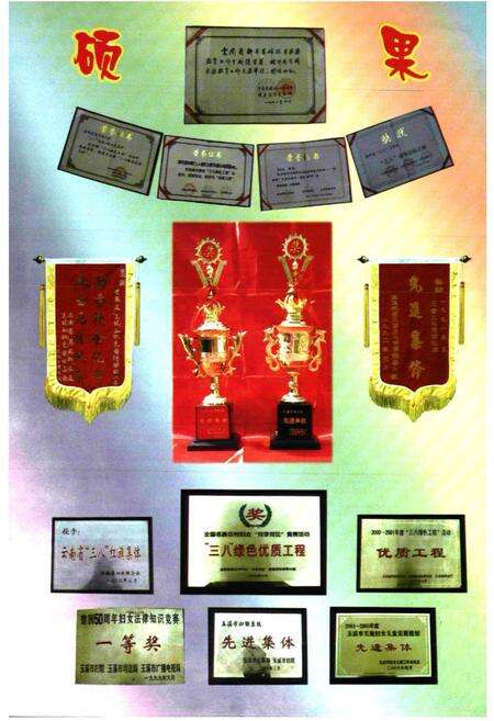 《新平县妇联志》.pdf_云南省志预览图5