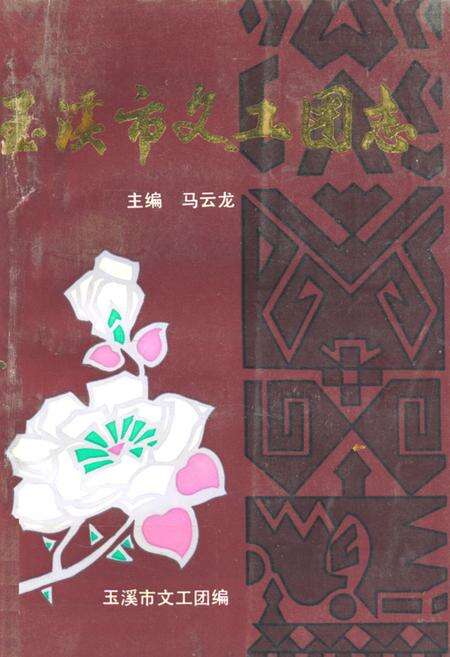 《《玉溪市文工团志》》.pdf_云南省志缩略图