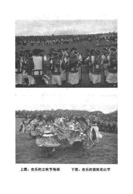 《寻甸回族彝族自治县民族志》.pdf_云南省志预览图5