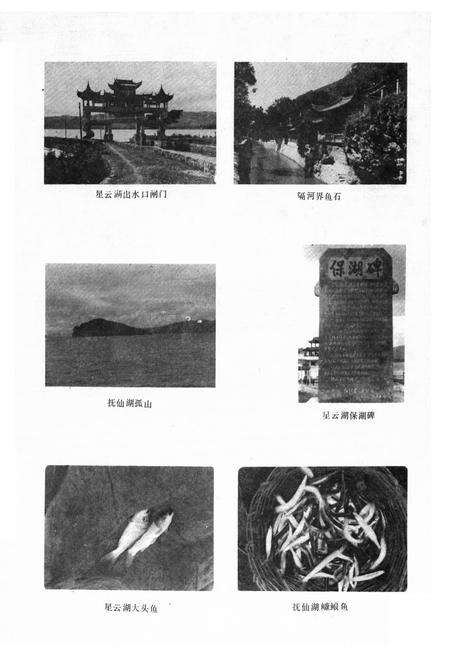 《江川县水利志》.pdf_云南省志预览图4