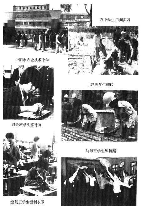 《个旧市教育志1913-1985》.pdf_云南省志预览图5