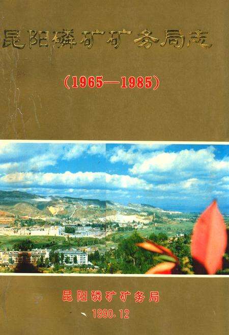 《昆阳磷矿矿务局志(1965-1985)》.pdf_云南省志缩略图