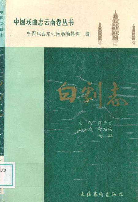 《中国戏曲志云南卷 白剧志》.pdf_云南省志缩略图