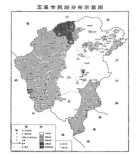 《玉溪市民族志》.pdf_云南省志预览图4