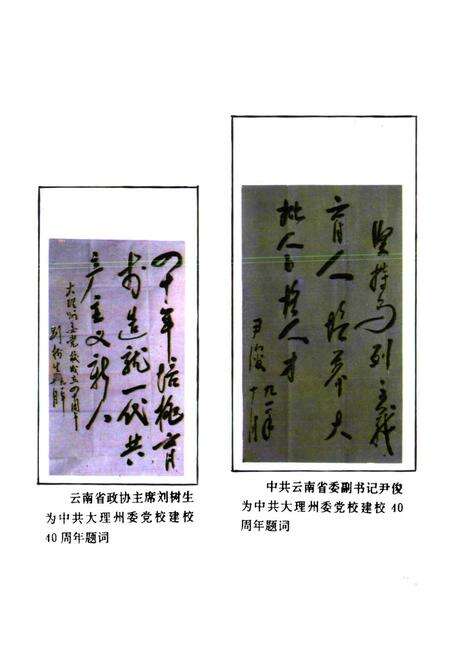 《中共大理州委党校校志(1951-1991)》.pdf_云南省志预览图3