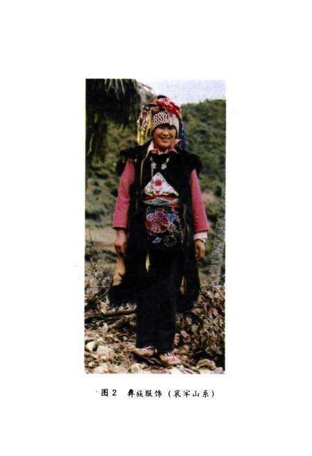 《南涧彝族自治县文物志》.pdf_云南省志预览图4