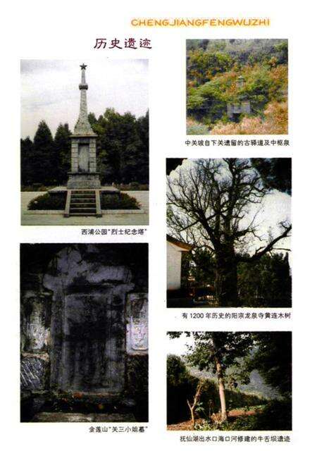 《澄江风物志》.pdf_云南省志预览图3