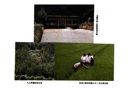 《洛河志》.pdf_云南省志预览图5