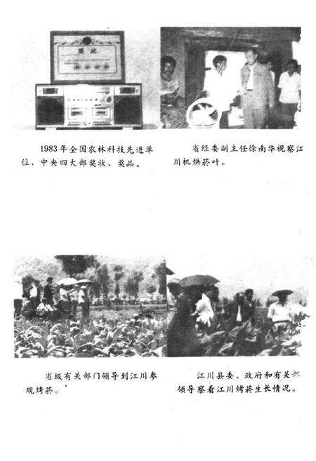 《江川烤菸志》.pdf_云南省志预览图1