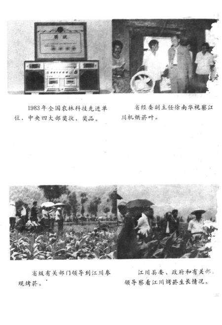《江川烤菸志》.pdf_云南省志预览图2