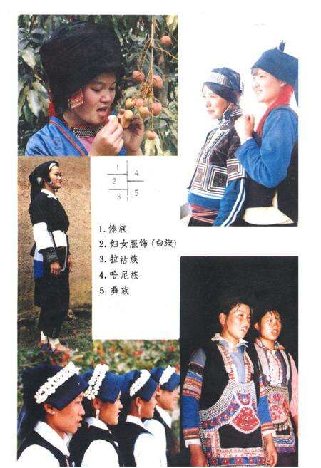 《元江哈尼族彝族傣族自治县民族志》.pdf_云南省志预览图2