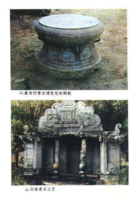 《元江哈尼族彝族傣族自治县民族志》.pdf_云南省志预览图4