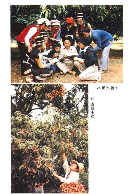 《元江哈尼族彝族傣族自治县民族志》.pdf_云南省志预览图5