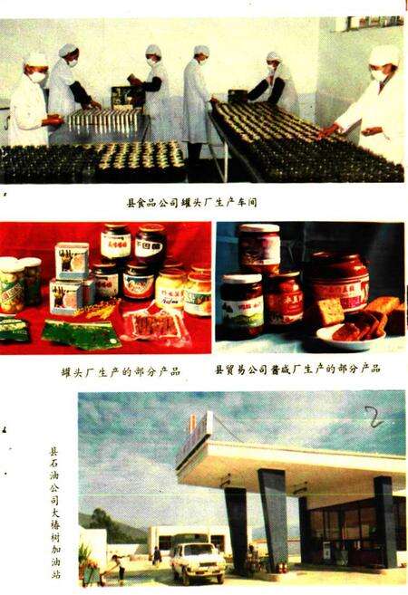 《易门县商业志》.pdf_云南省志预览图3